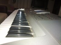 23082010111.jpg