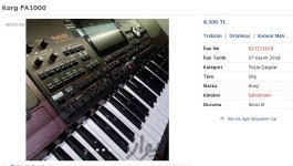 korg1000.jpg