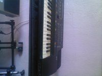 Photo-0011.jpg