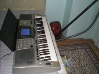 P1010035.jpg