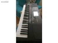 181731176v76.jpg
